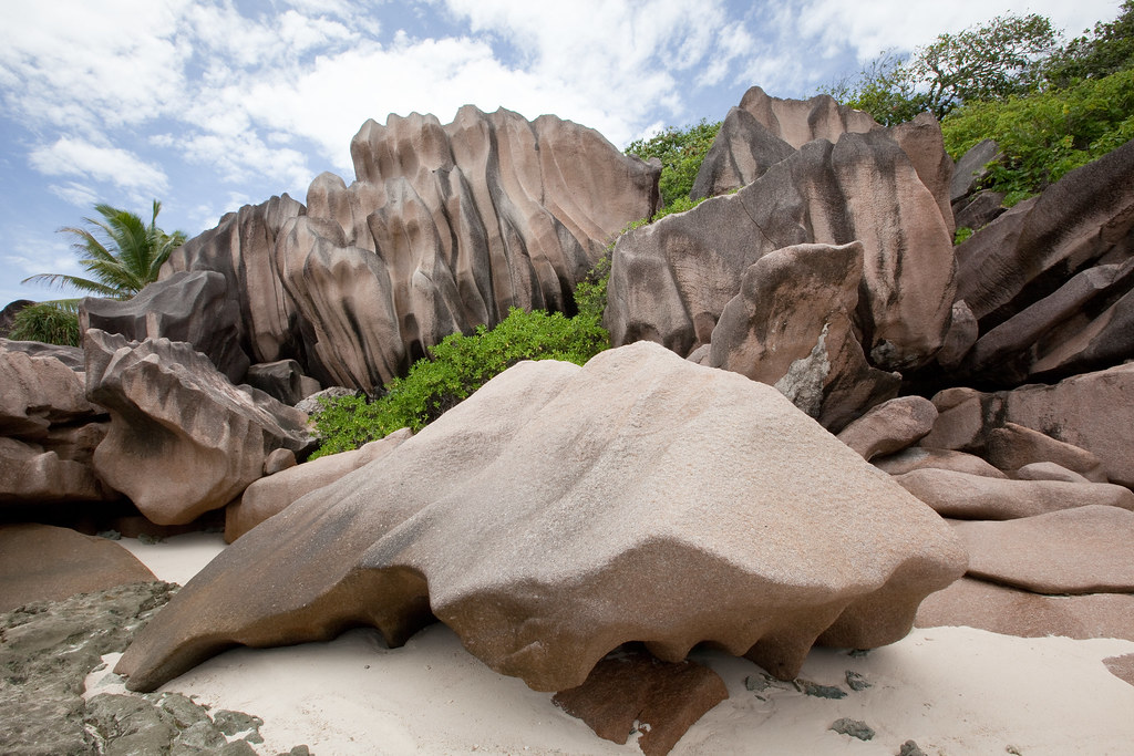 Captivating Biodiversity: Delving into the Verdant Wilderness of Seychelles