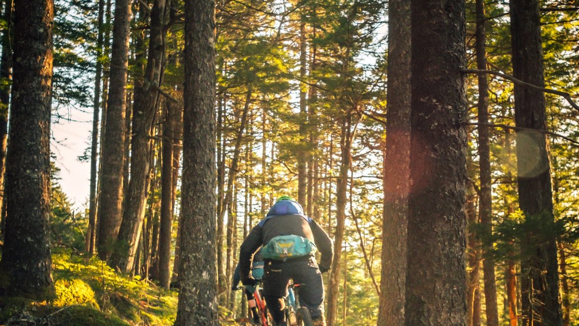 Spring Outdoor Activities: Embracing the Warmth with Biking, Sunrise Yoga, and More