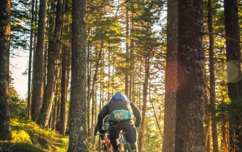 Spring Outdoor Activities: Embracing the Warmth with Biking, Sunrise Yoga, and More