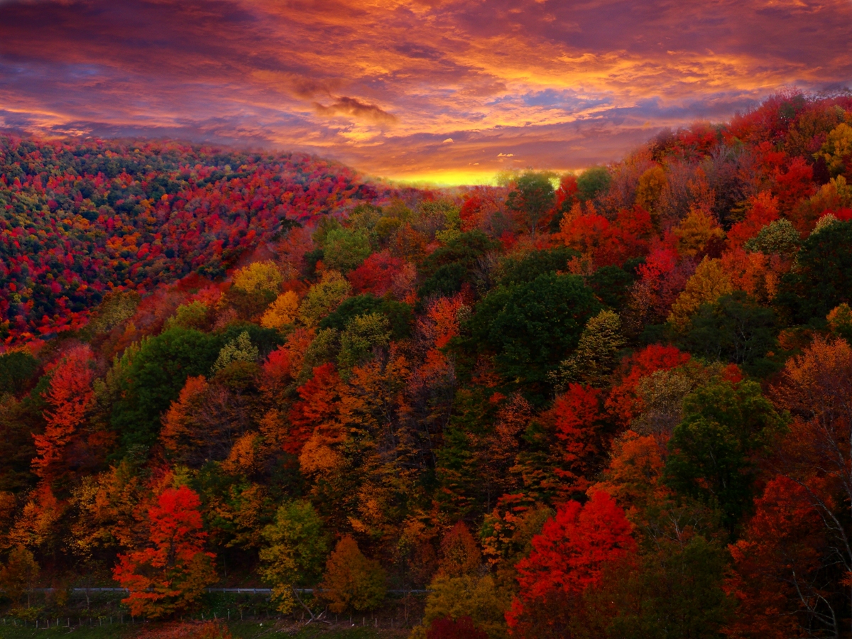 1. A Symphony of Colors: Fall Foliage and the Peak of Romantic Charm