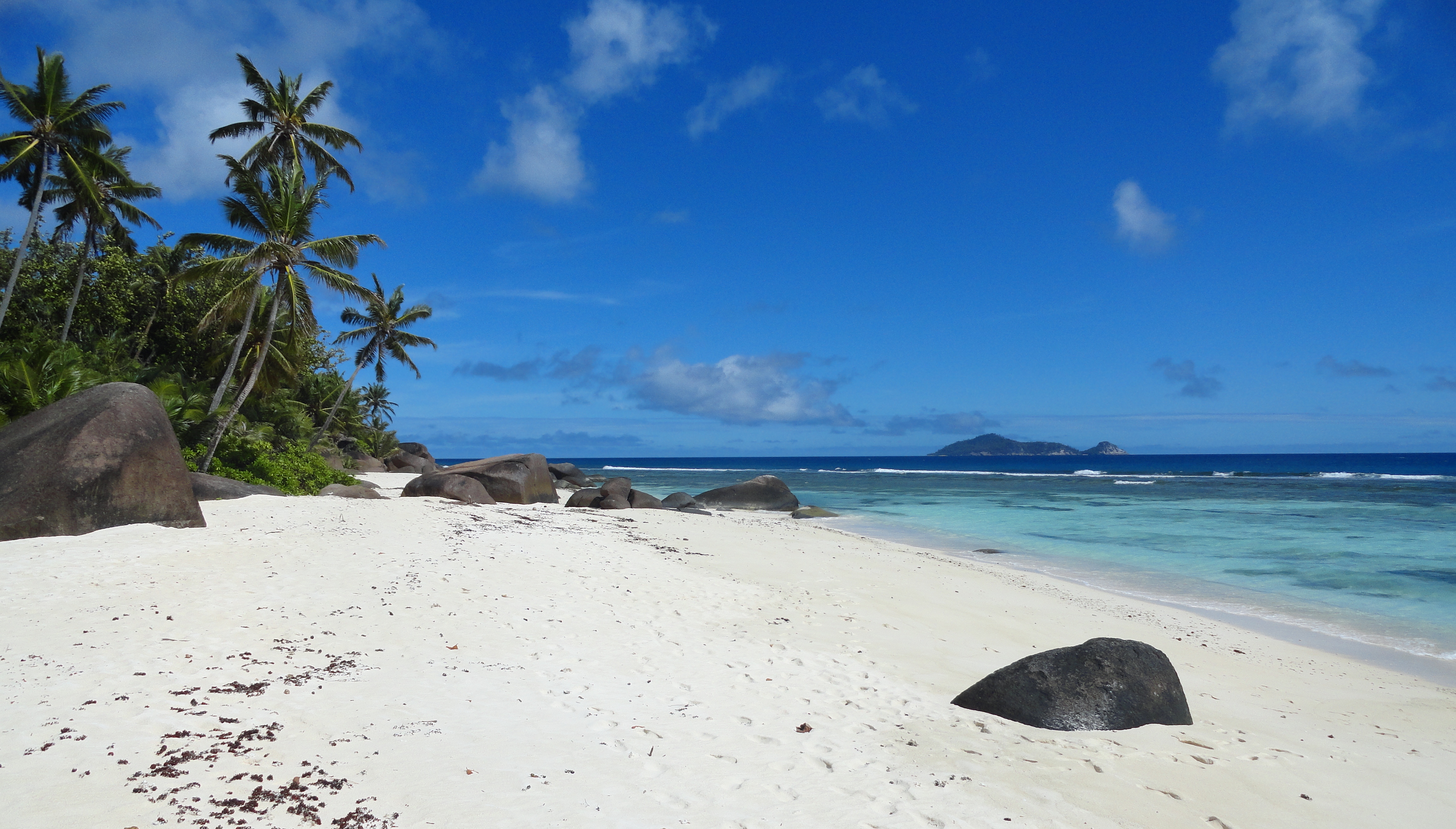 Immersive Experiences: Unveiling the Secret Treasures of Seychelles