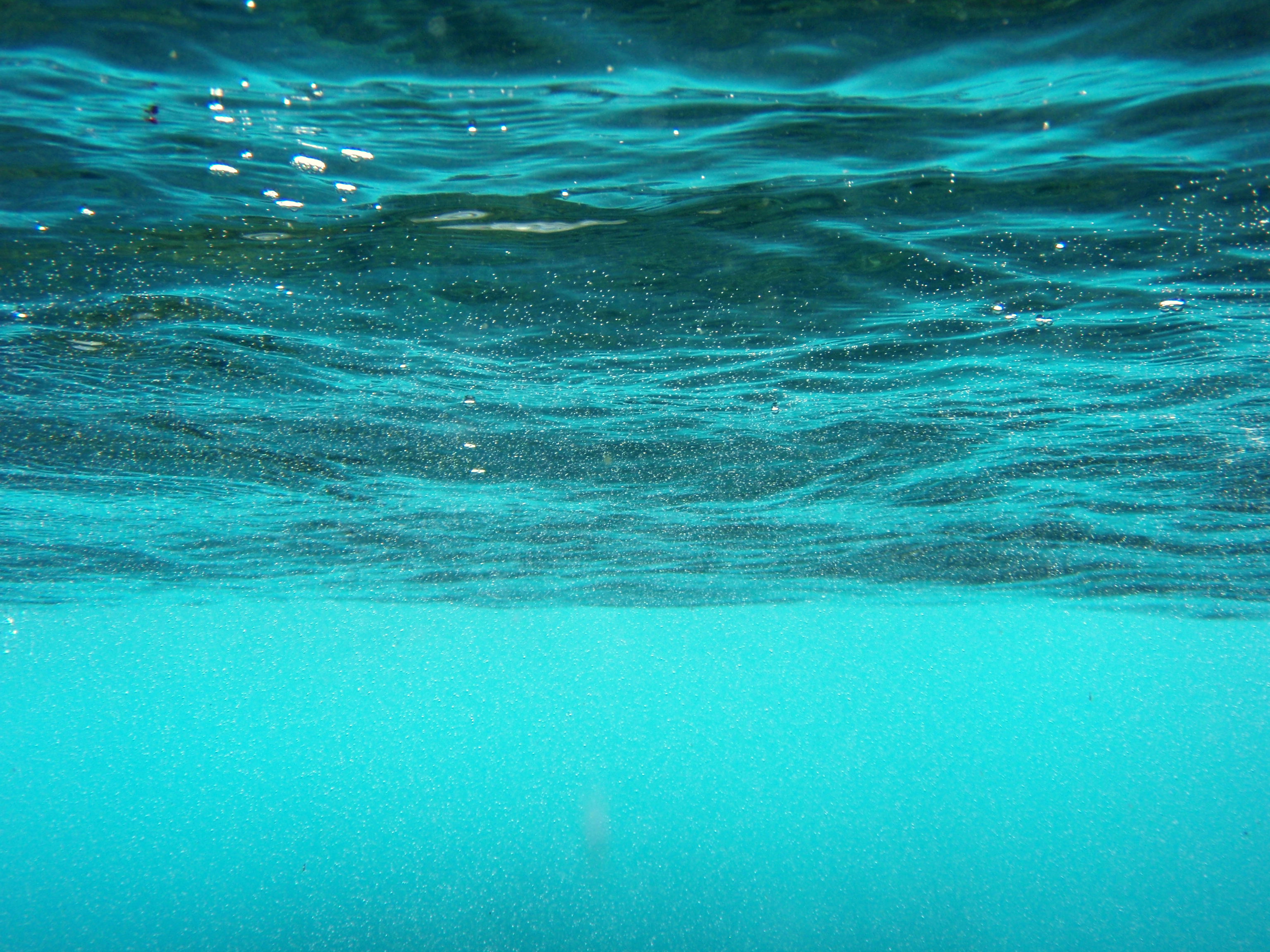 Exploring the Depths: Essential Recommendations for an Unforgettable Underwater Adventure in the Great Barrier Reef