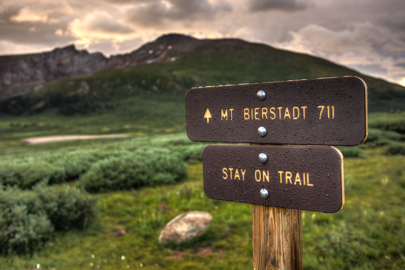 2. Bountiful Blossoms and Majestic Peaks: Embrace Nature's Renewal on Spring Hikes