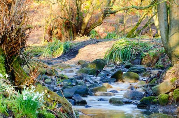 Nature's Playground: Exploring the Abundance of Outdoor Adventures