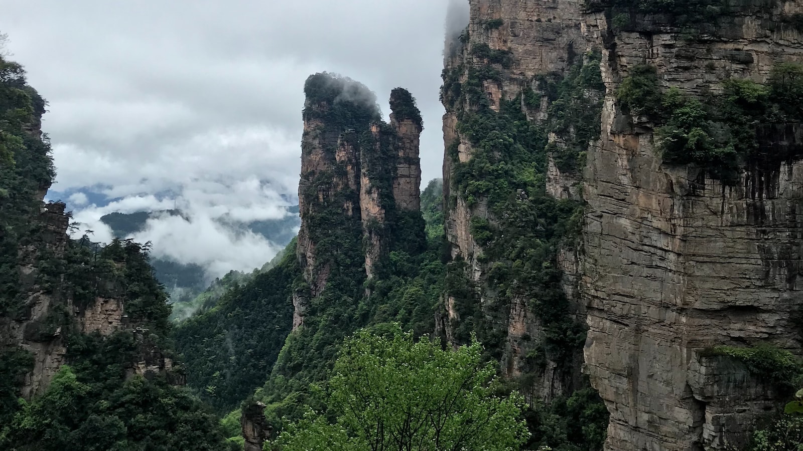 I. Unveiling the Enchanting Zhangjiajie Grass Festival: A Glimpse into Traditional Celebrations and Breathtaking Scenery